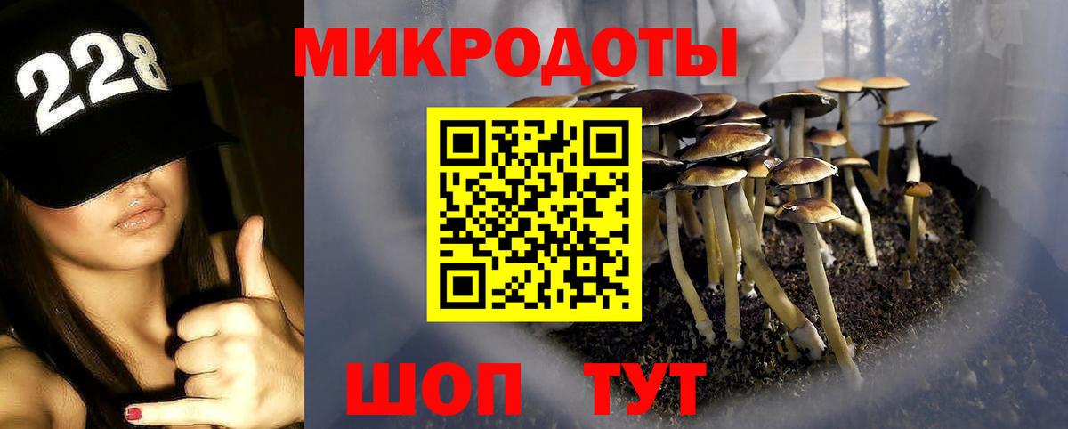 Пыть-Ях  Псилоцибиновые грибы мухоморы  Вход с VPN 